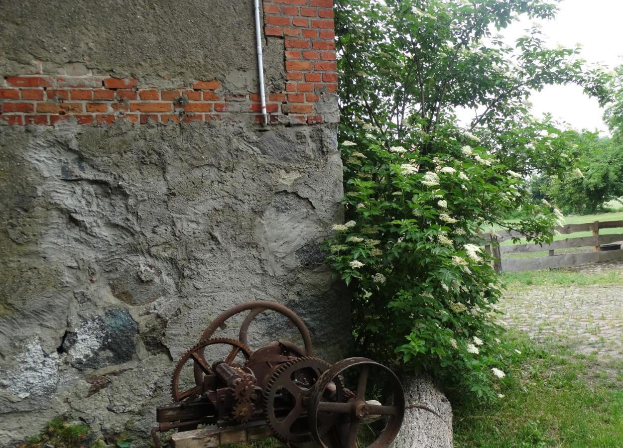 Dom Na Mazurach Pilec Bed & Breakfast Exterior photo